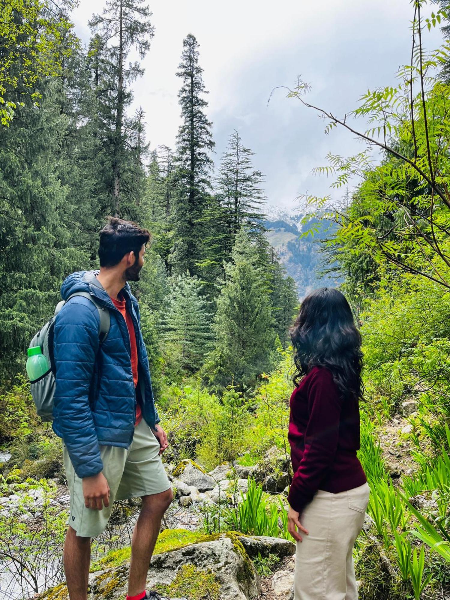 The Hideout - Hiraeth Hostel Manali  Bagian luar foto