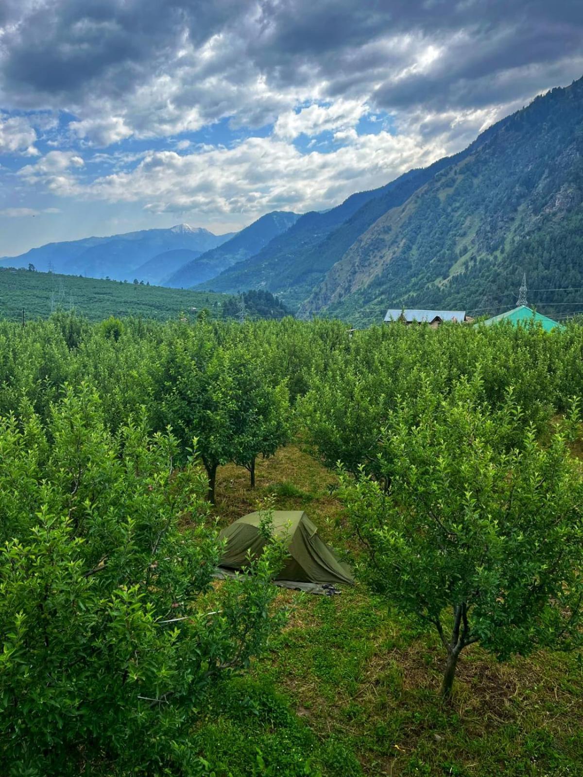 The Hideout - Hiraeth Hostel Manali  Bagian luar foto